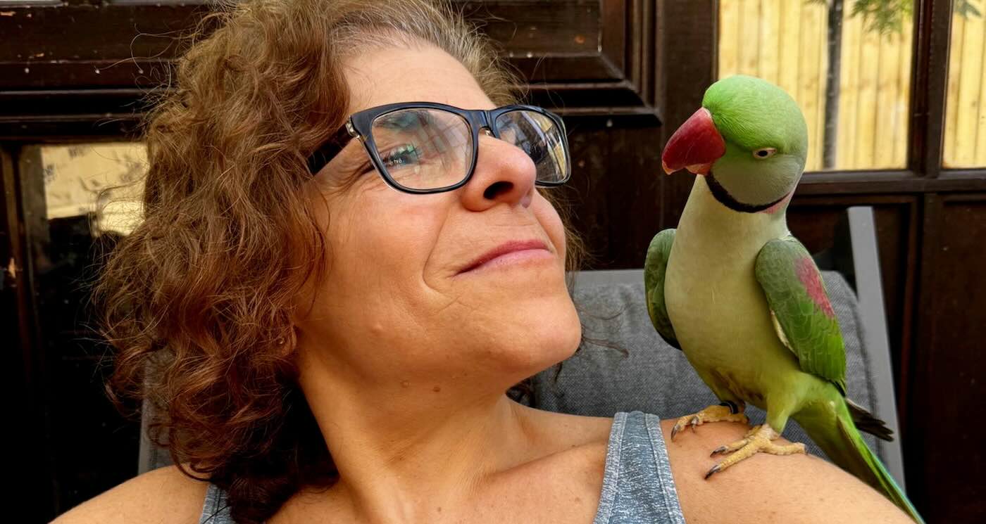 View original image source.