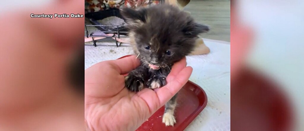 View original image source.