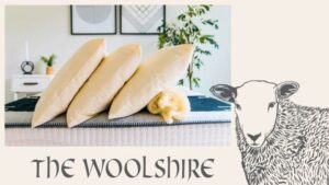 View original image source.