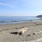 View original image source.