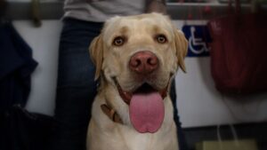 View original image source.