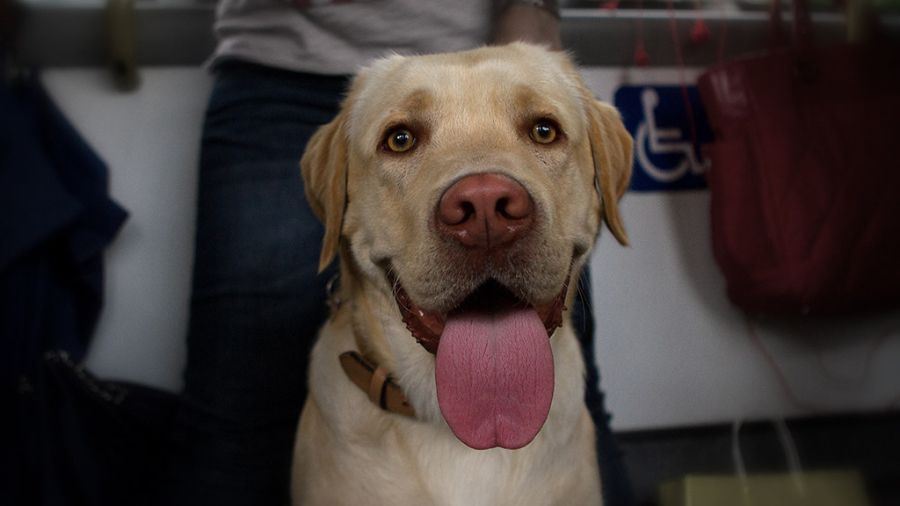 View original image source.