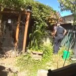 View original image source.