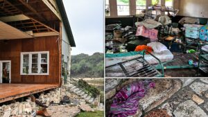 View original image source.