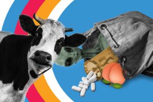 View original image source.