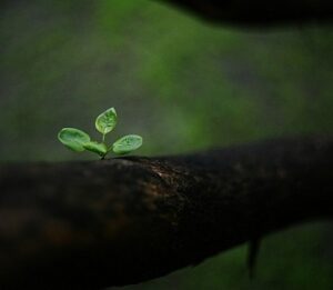 View original image source.