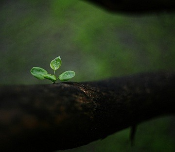 View original image source.