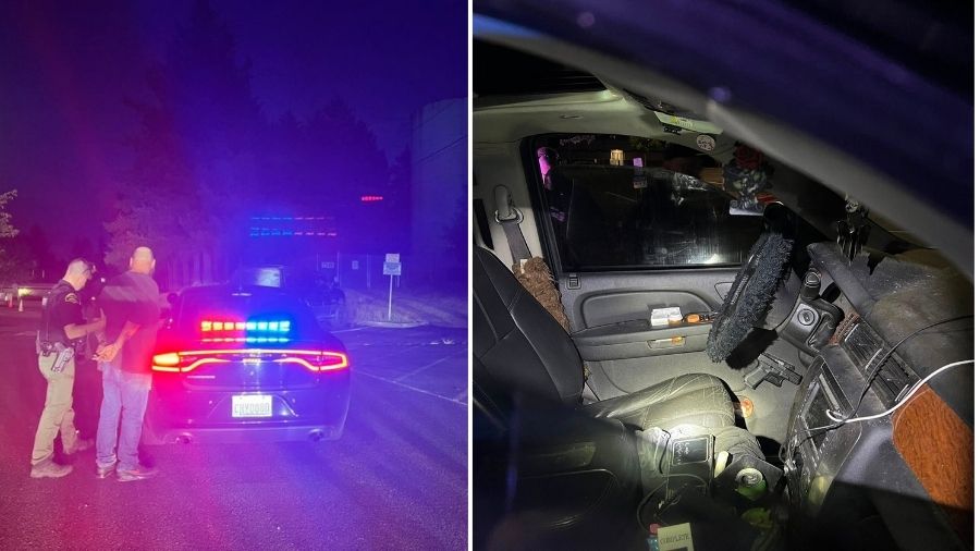 View original image source.