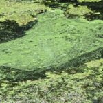 View original image source.