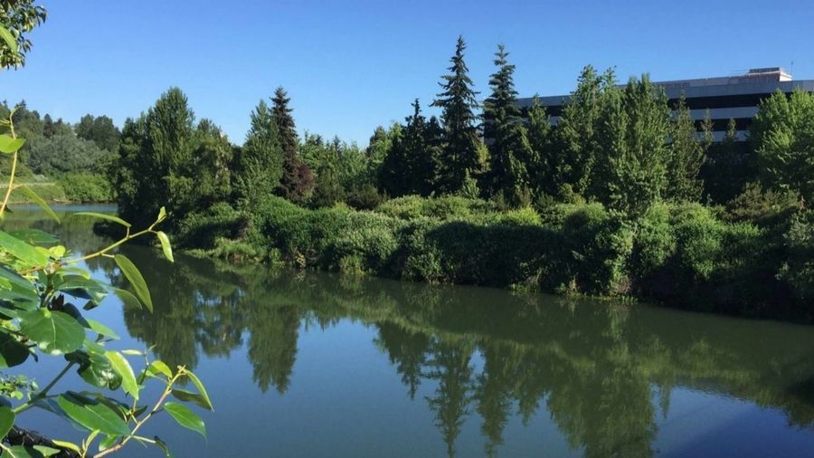 View original image source.