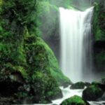 View original image source.