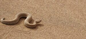 View original image source.