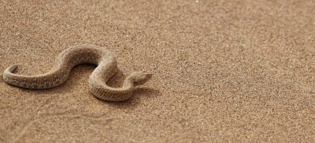 View original image source.