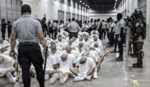 View original image source.