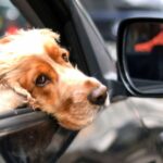 View original image source.