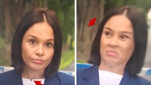 View original image source.