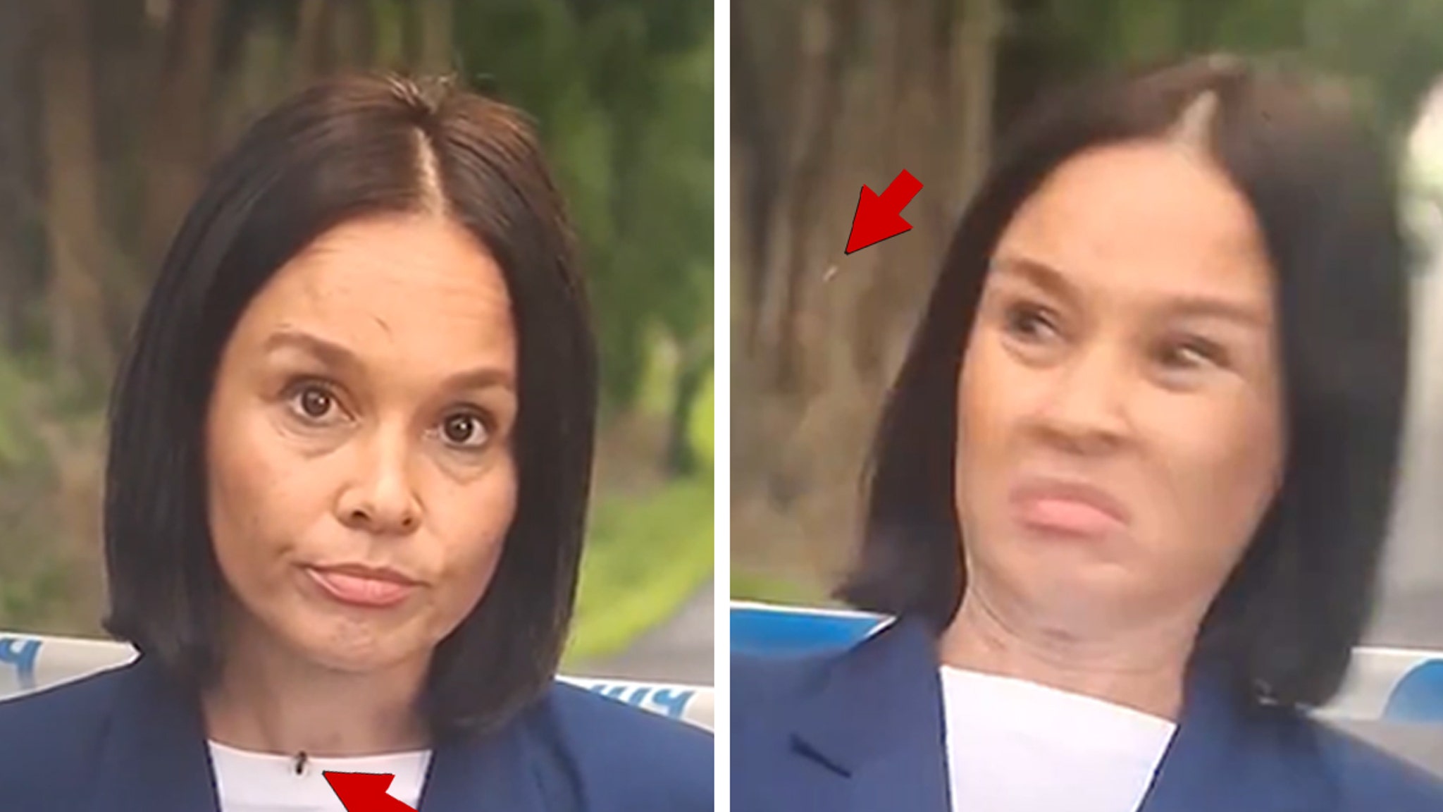 View original image source.