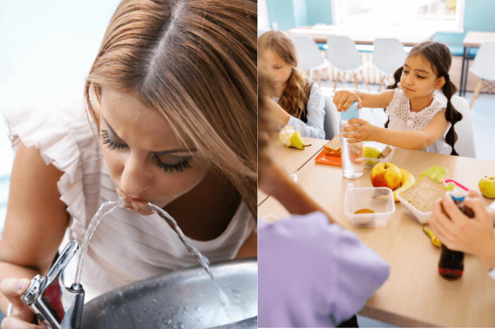 View original image source.