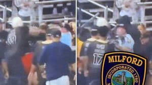 View original image source.