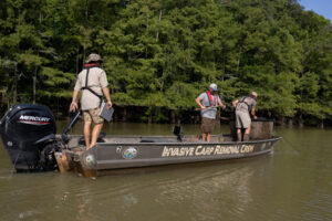 View original image source.