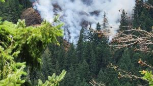 View original image source.