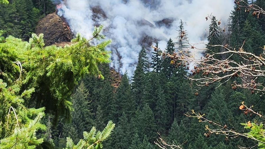 View original image source.