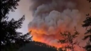 View original image source.