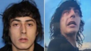 View original image source.