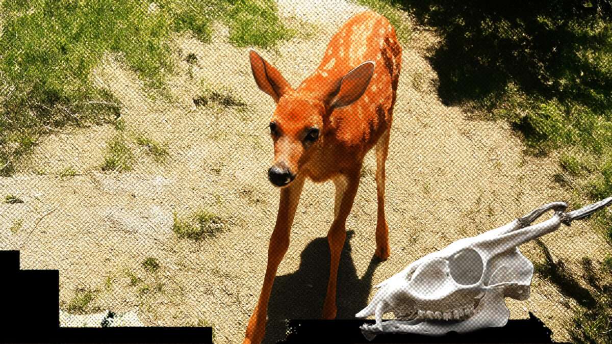 View original image source.