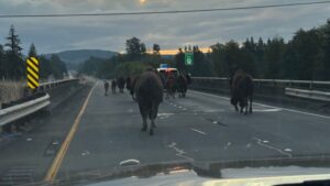 View original image source.