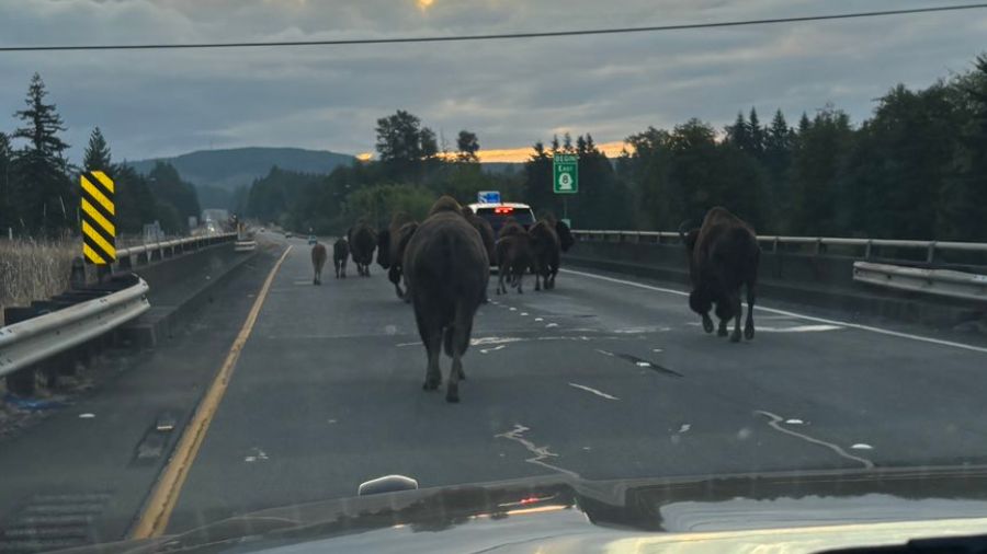 View original image source.