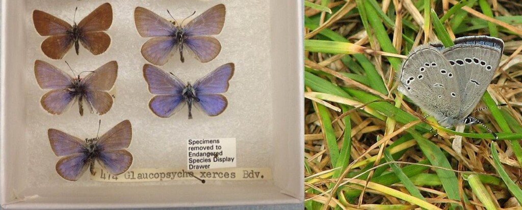 View original image source.