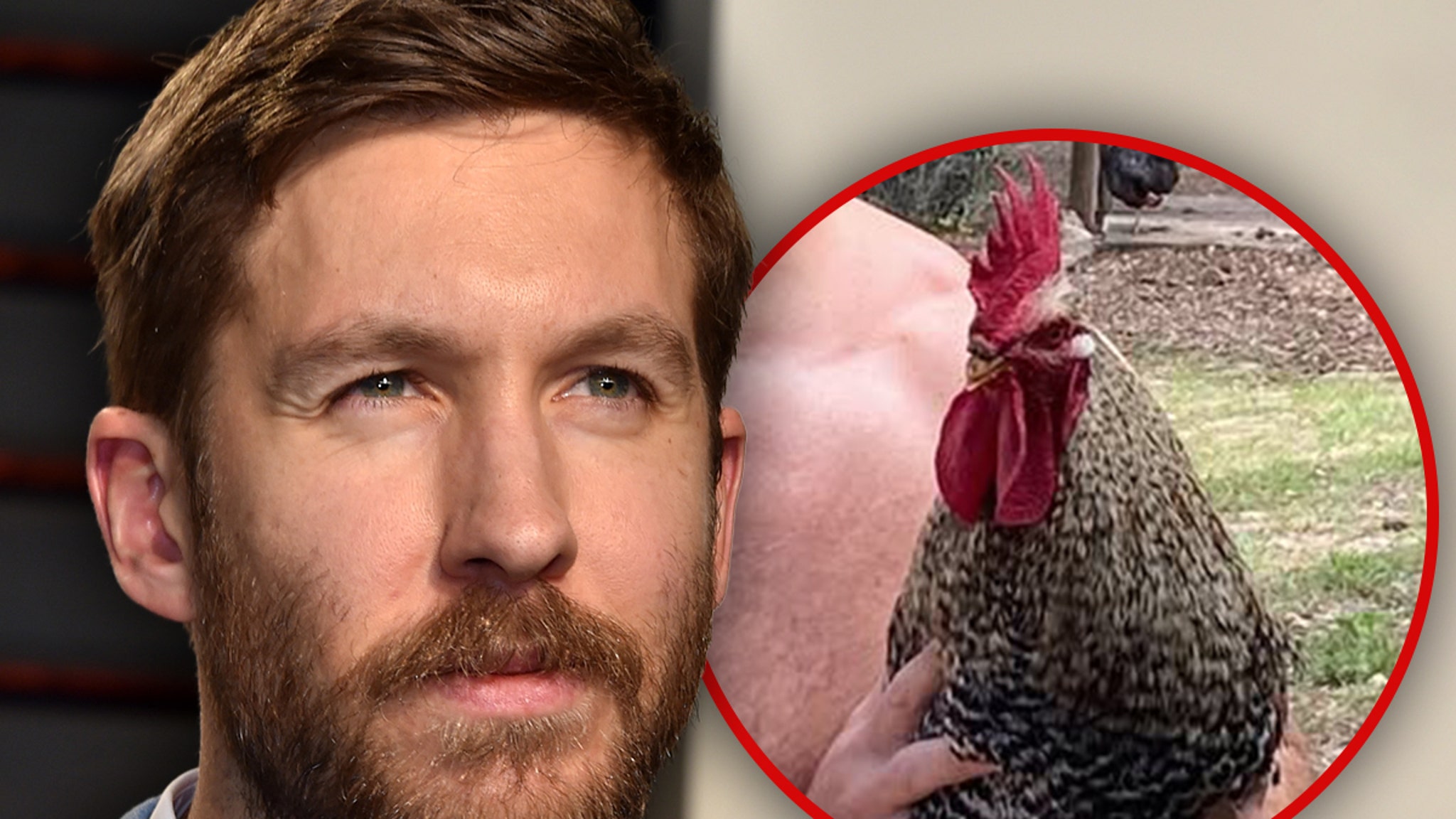 View original image source.