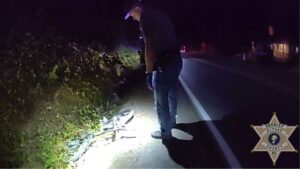 View original image source.