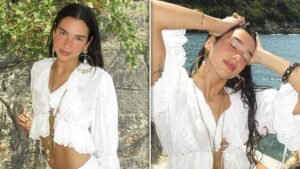 View original image source.