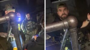 View original image source.