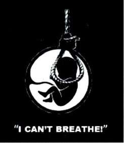 View original image source.