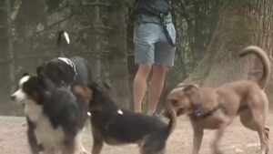 View original image source.