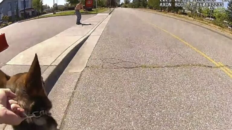 View original image source.