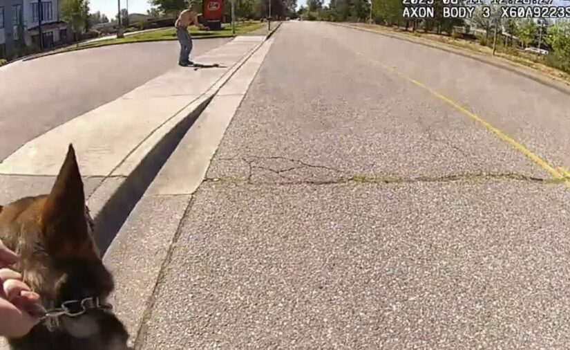 View original image source.