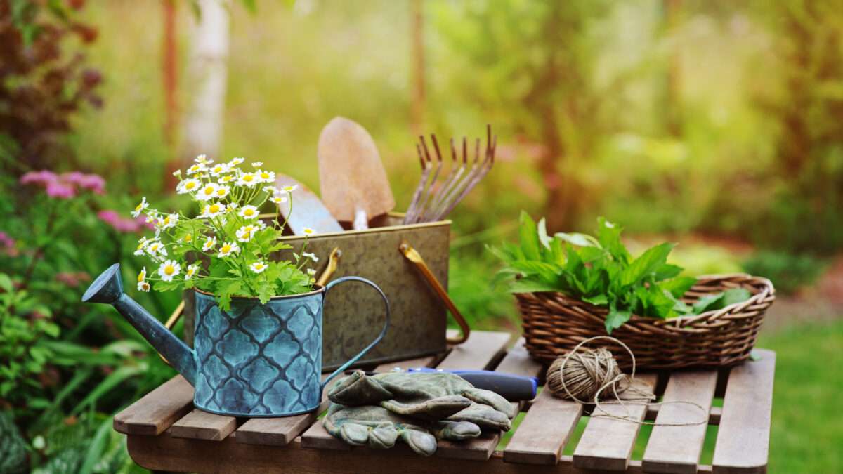 View original image source.