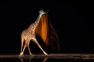 View original image source.