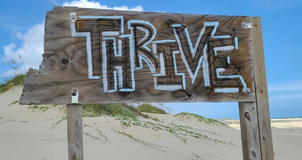 View original image source.