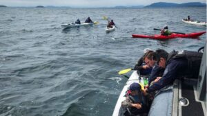 View original image source.