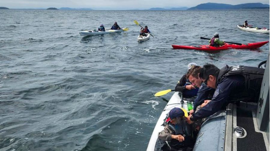 View original image source.