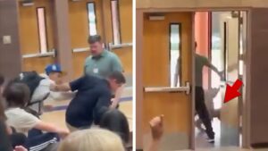 View original image source.