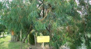 View original image source.