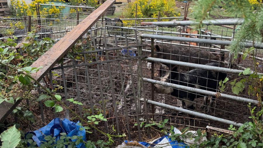 View original image source.