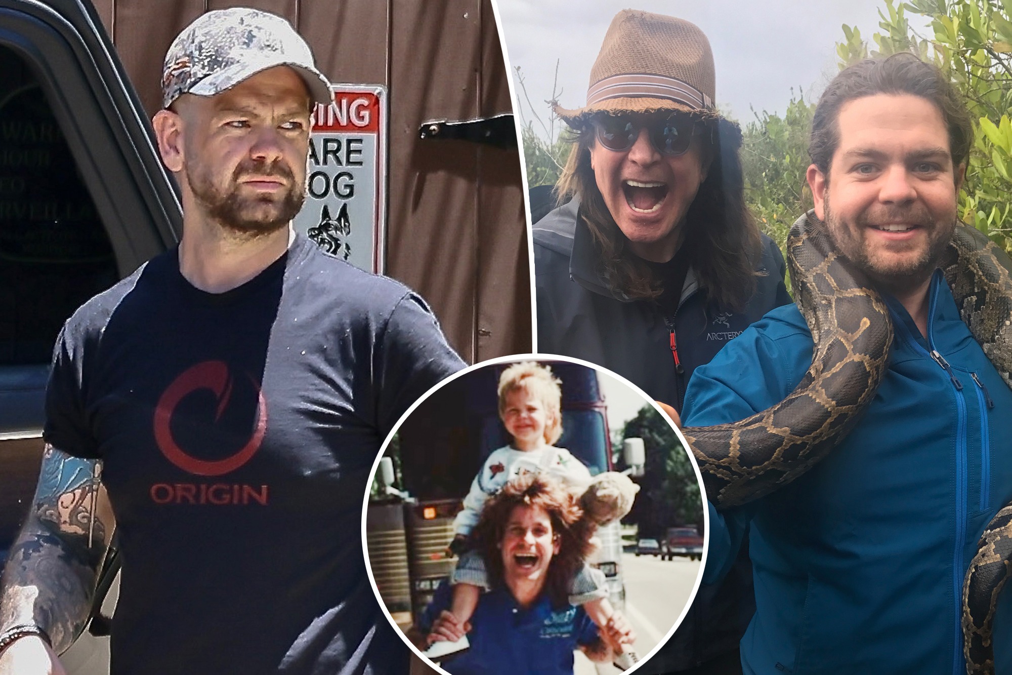 View original image source.