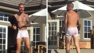 View original image source.